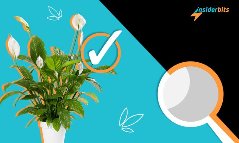 Meilleures applications d'identification des plantes 1