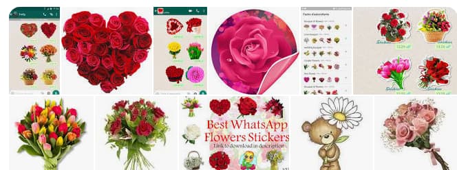 flower stickers for WhatsApp