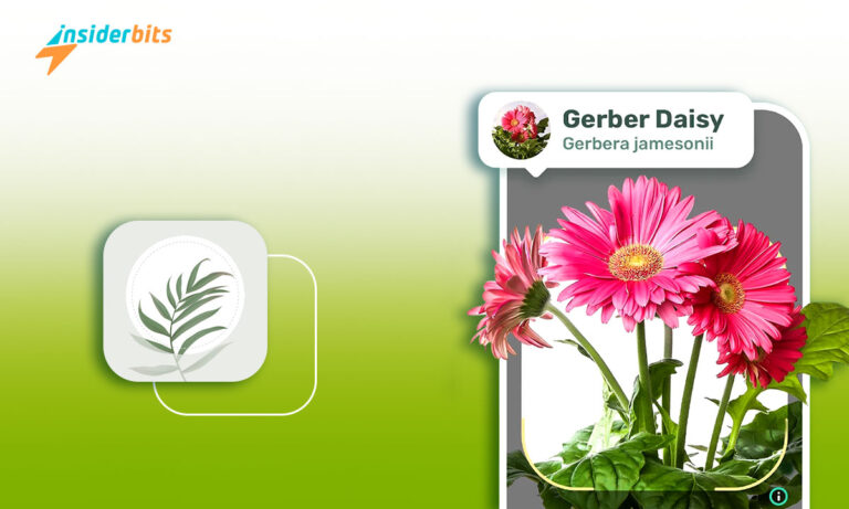 Meisterhafte Pflanzenbestimmung mit der Blossom App