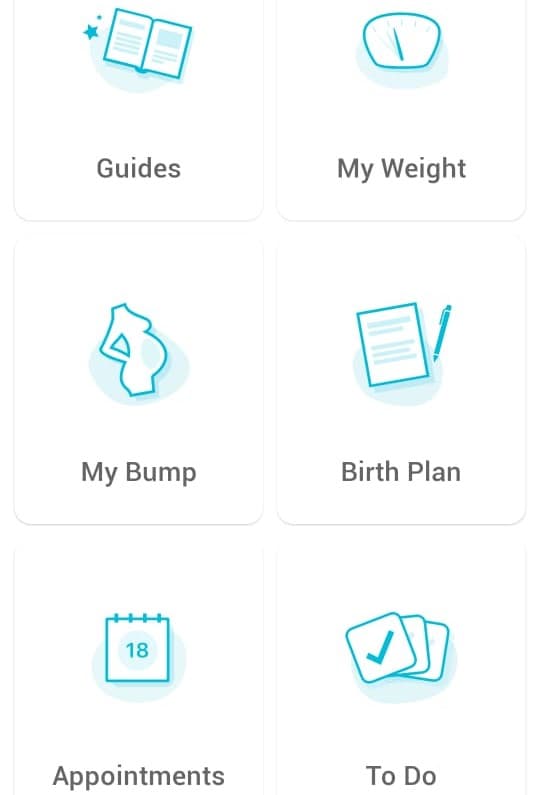 Pregnancy Companion App