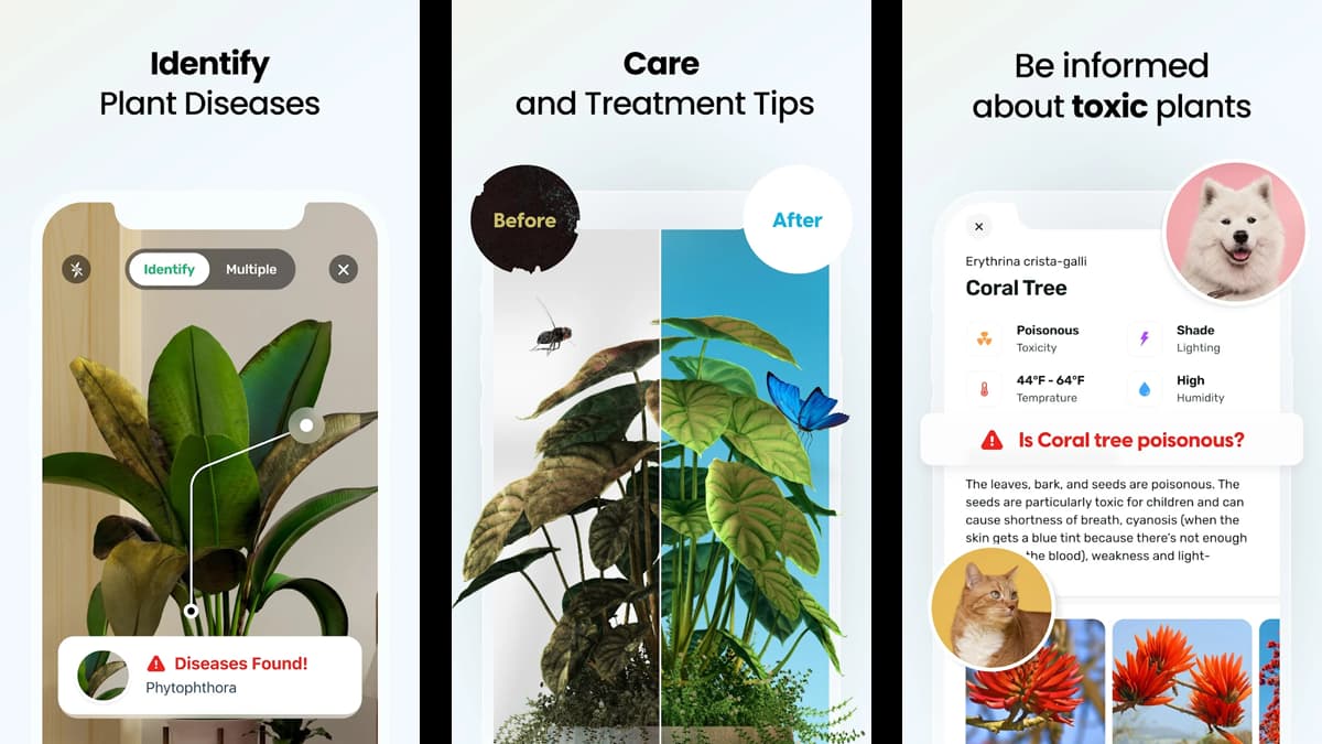 Learn Gardening with These Top Apps | Insiderbits