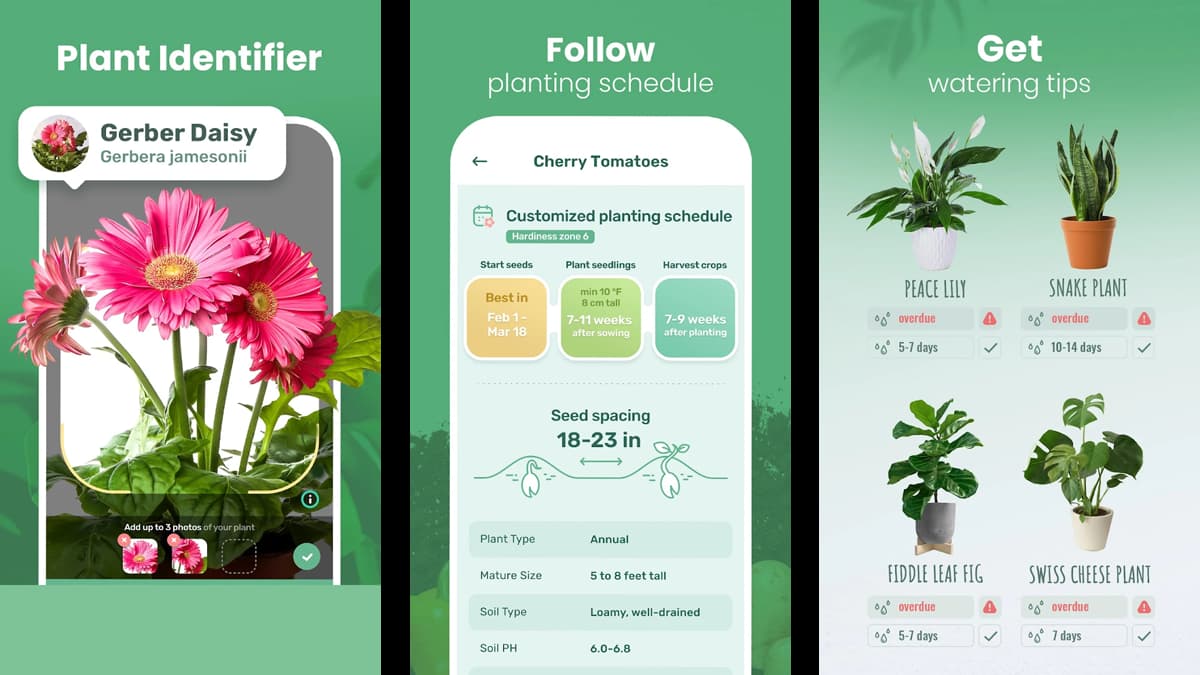 Plant Identification with the Blossom App Insiderbits