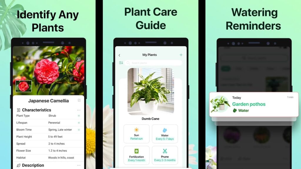 The Essential Gardening and Plant Identification Apps