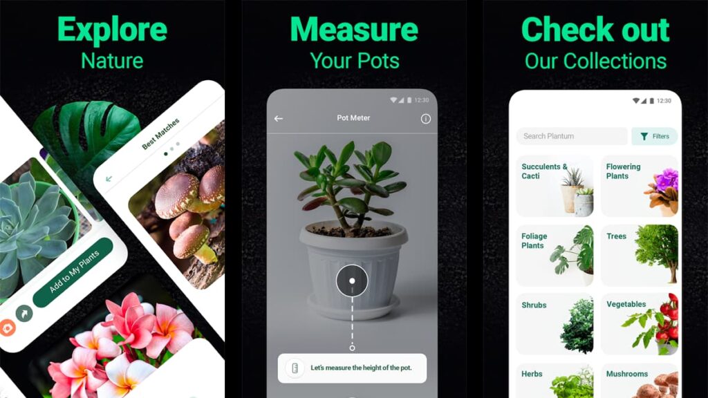 The Essential Gardening and Plant Identification Apps