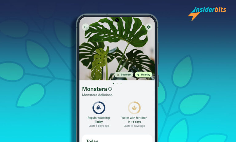 The Best Apps For Your Winter Plants 1