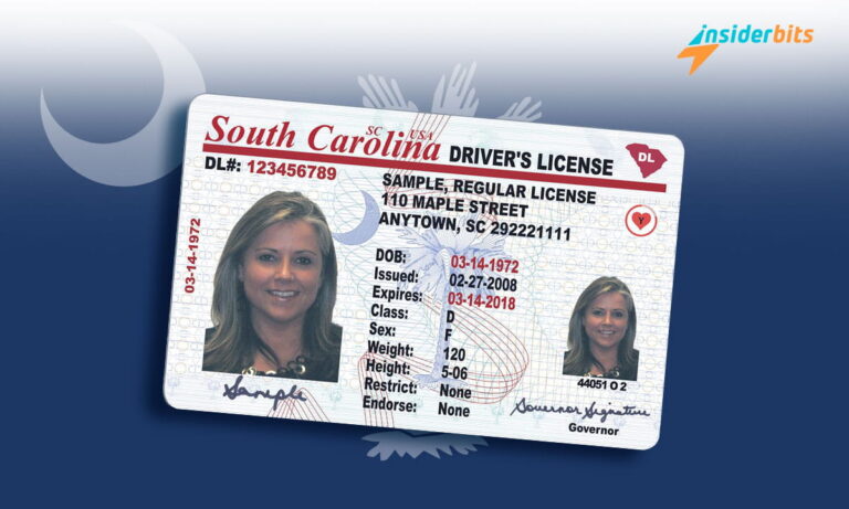 Drivers License in South Carolina A Comprehensive Guide