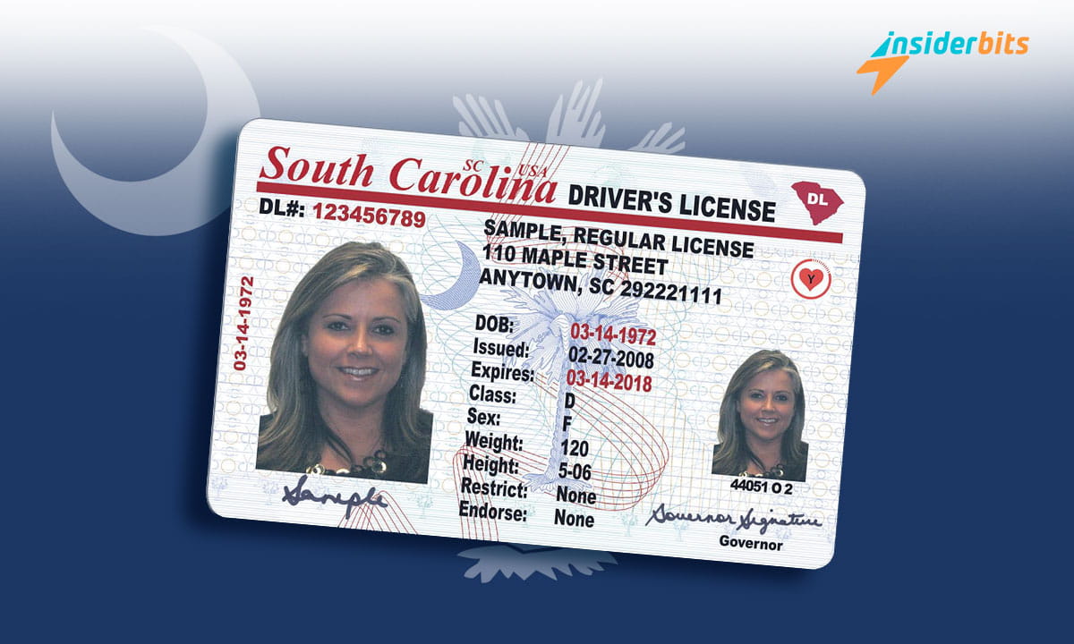 Drivers License in South Carolina A Comprehensive Guide