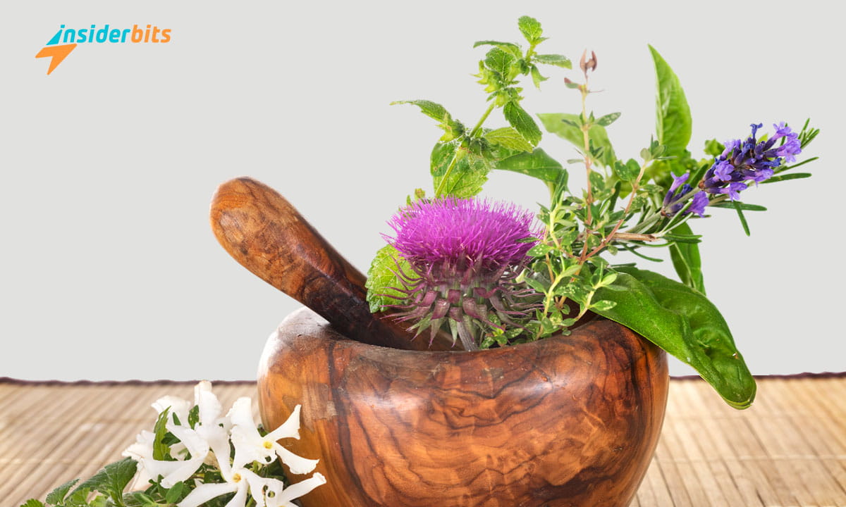 Free Online Herbalist Courses