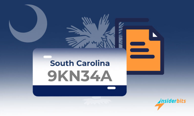 South Carolina License Plate Lookups Getting Vehicle Information