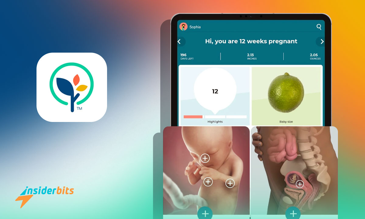 Navigate This Pregnancy App