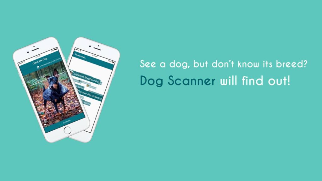 dog scanner app