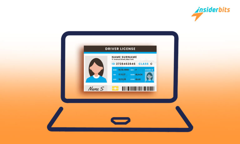 A Complete Guide to Online Drivers License