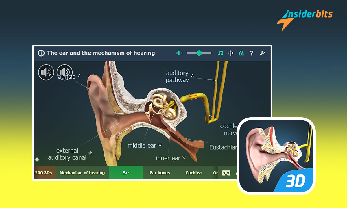 Understand the Mechanism of Hearing with This Free Auditory System App