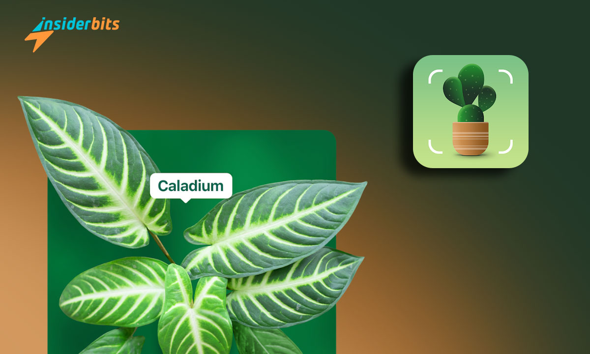 Plantum A Plant Identification App for Nature Enthusiasts