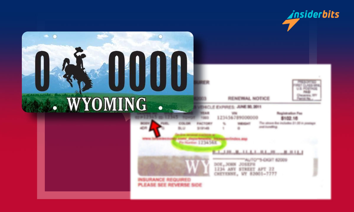 Wyoming License Plate Search: Accessing Vehicle Details