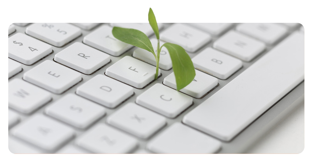 Remote Work's Environmental Impact