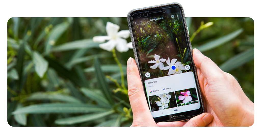How to Use Google Lens for More Than Just Translations 1 Use Google Lens