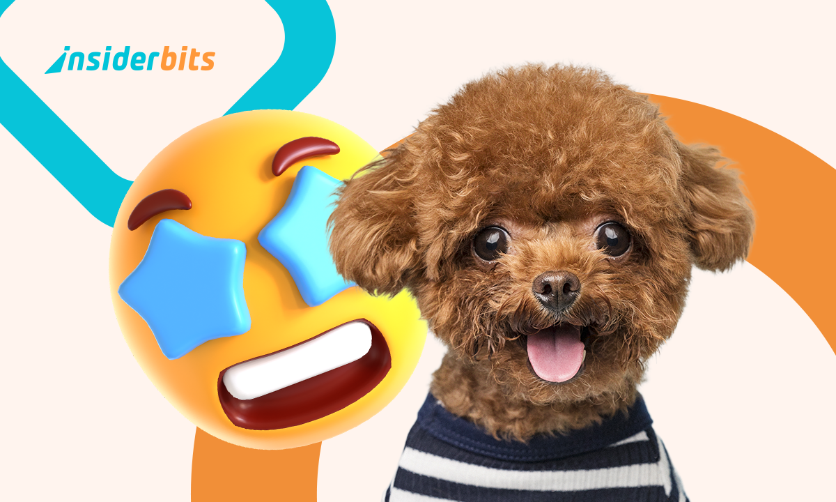 Make Your Pet Famous