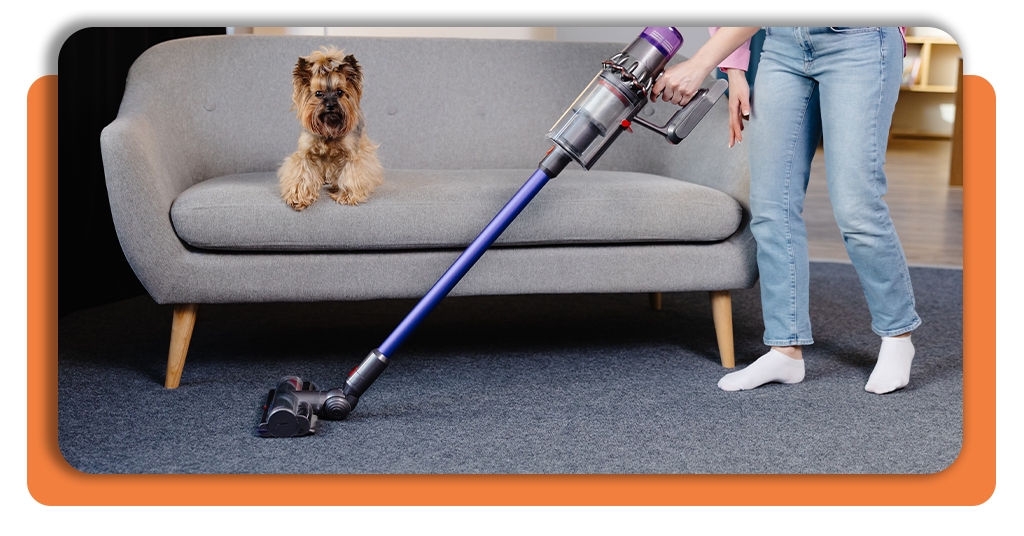 Vacuums for Pet Hair