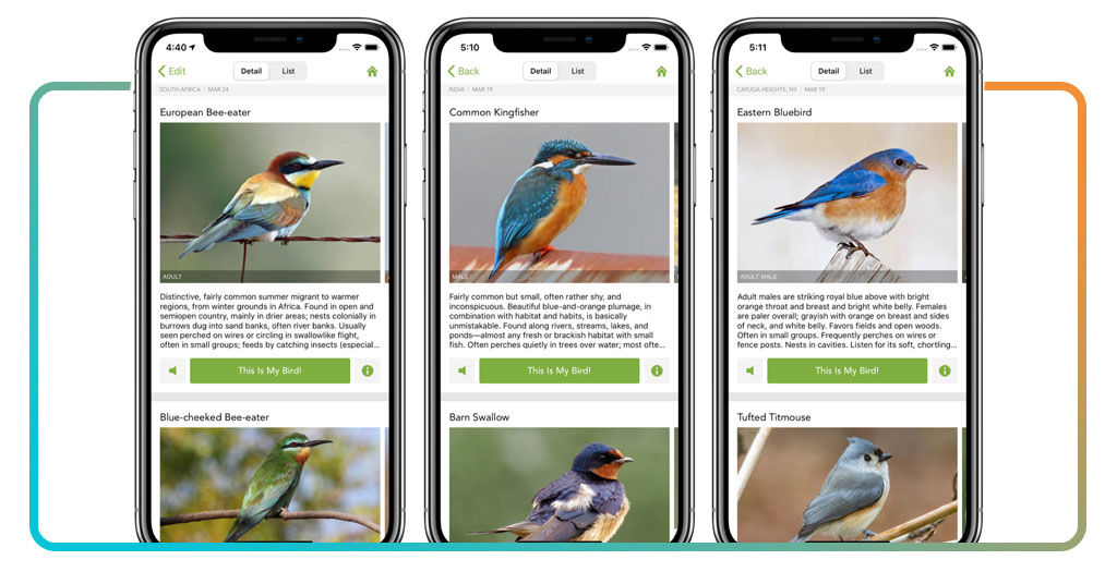 Bird Identification Apps
