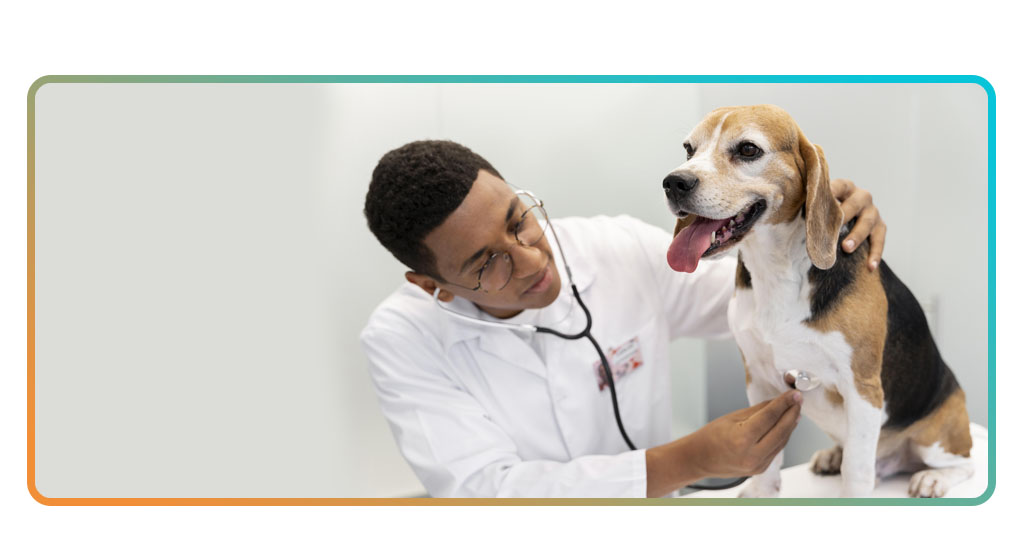 Vet Clinics