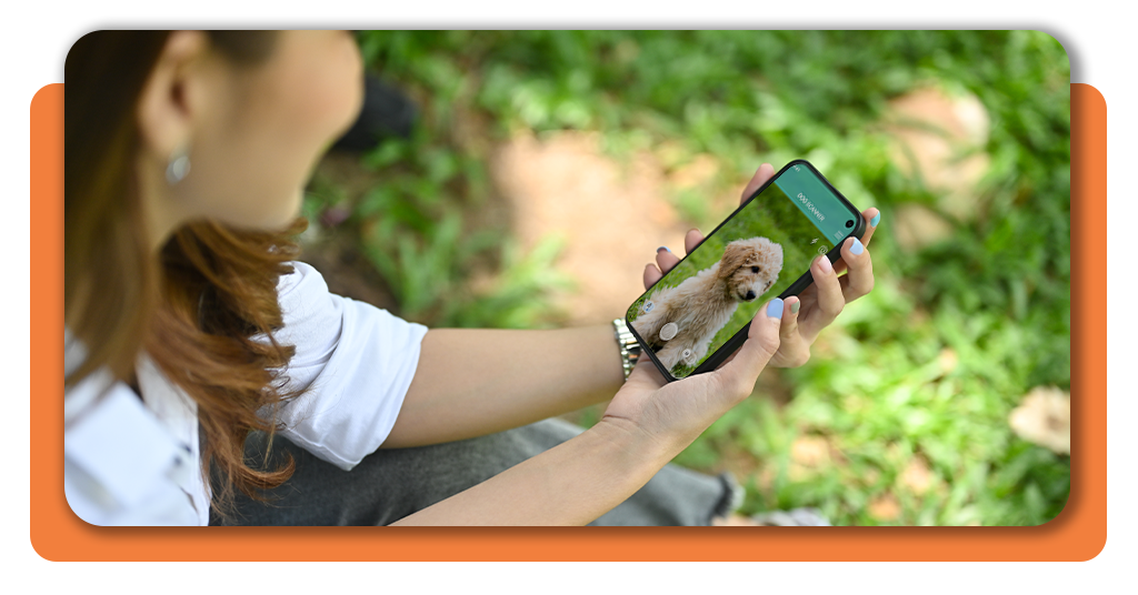 Dog breed analyzer: identify your dog’s mix with one photo 1 Dog Breed