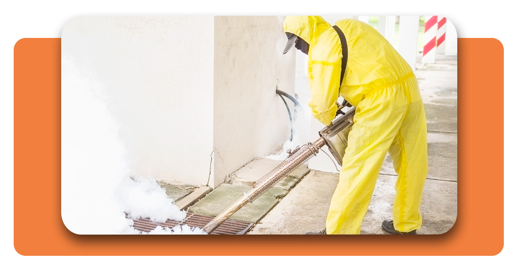 Free termite inspection