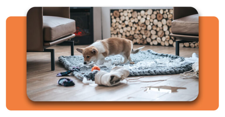 Is Your Dog Misbehaving? Try This Free Dog Training App