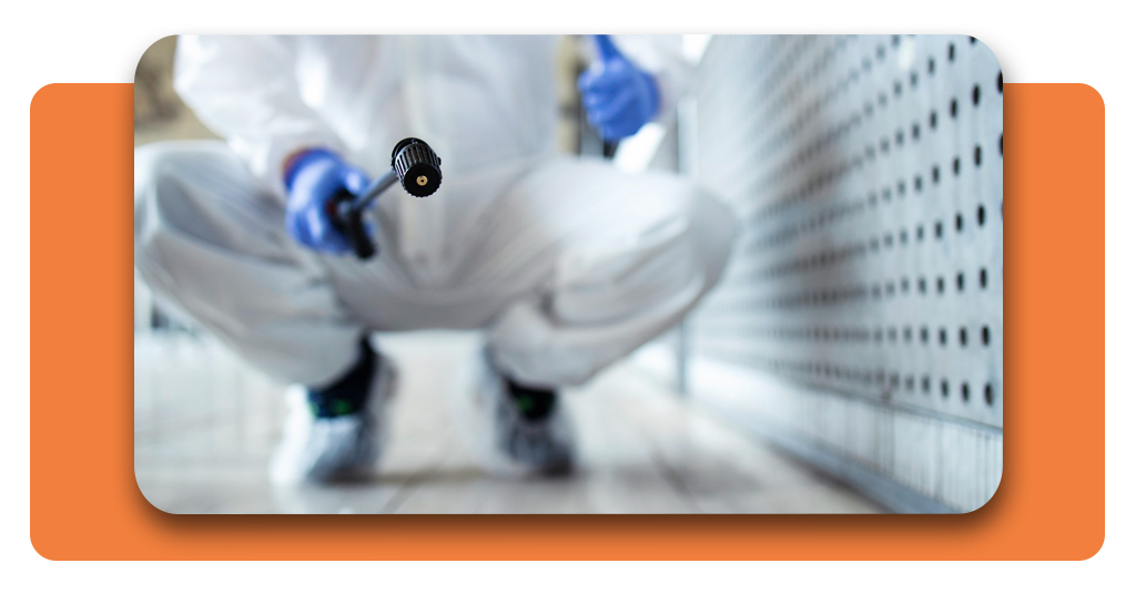 Free termite inspection