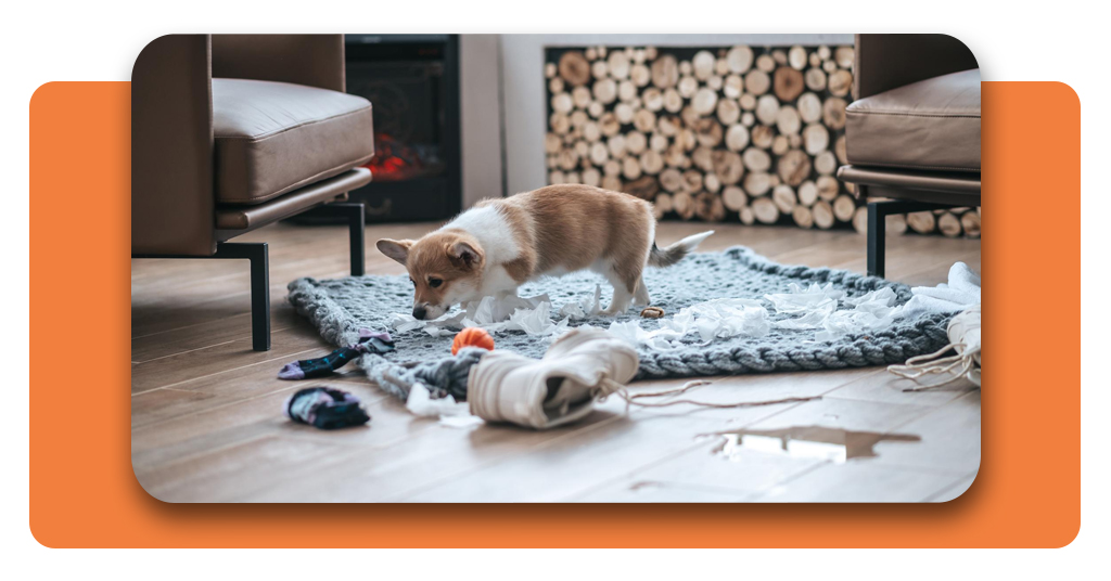 Free dog training app