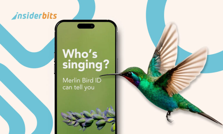 Bird identifier app