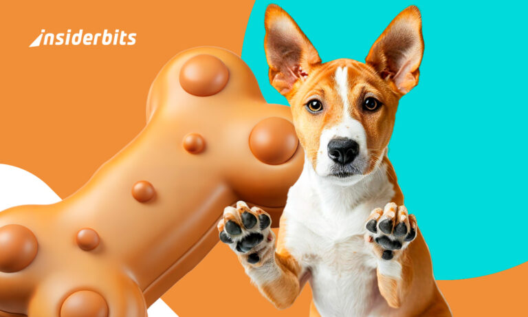 Dog breed identifier