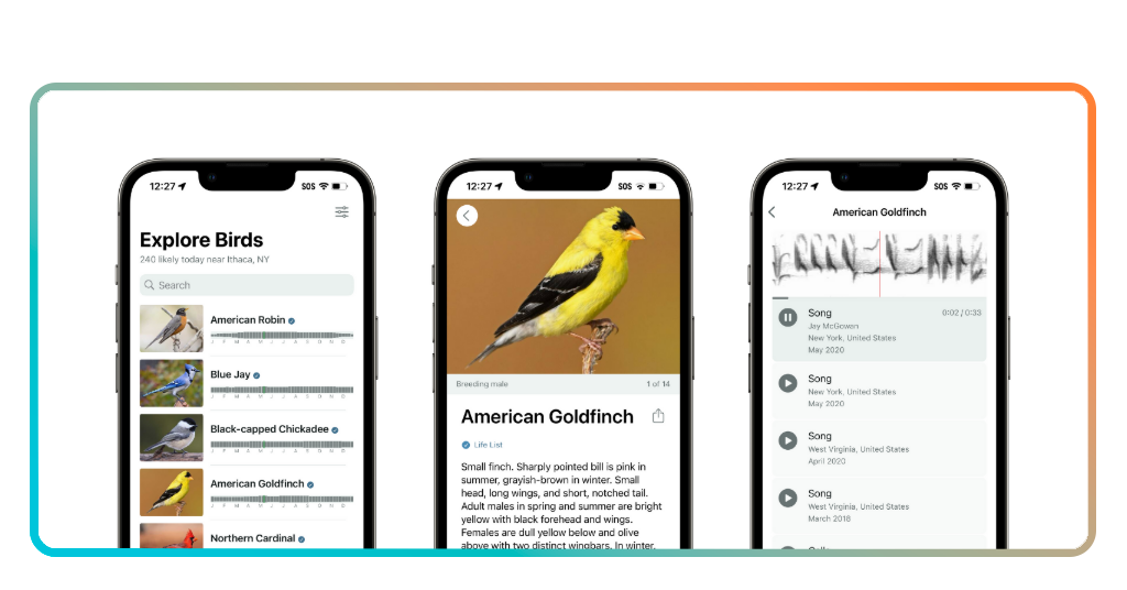 Bird identifier app