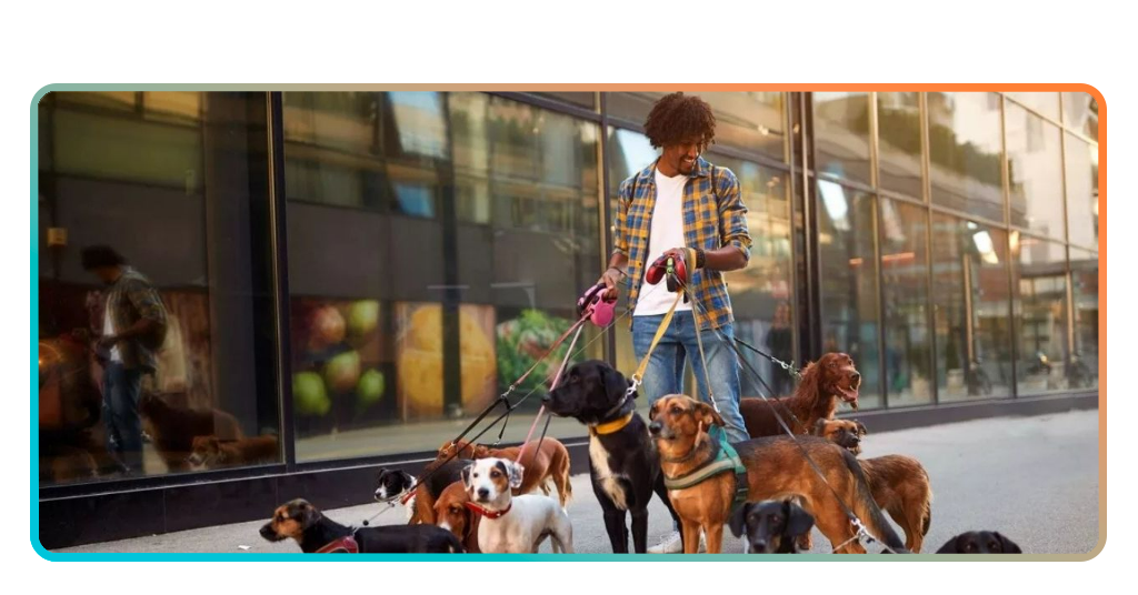 Become a professional pet sitter with this dog walker course 3 Dog walker course