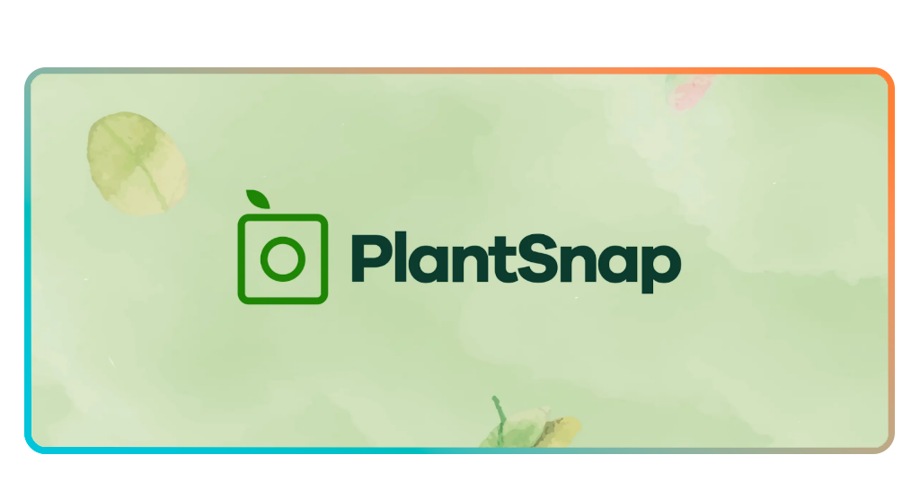 Plant identifier