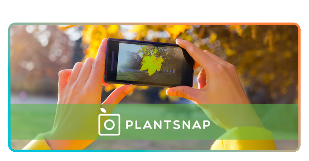 Plant identifier