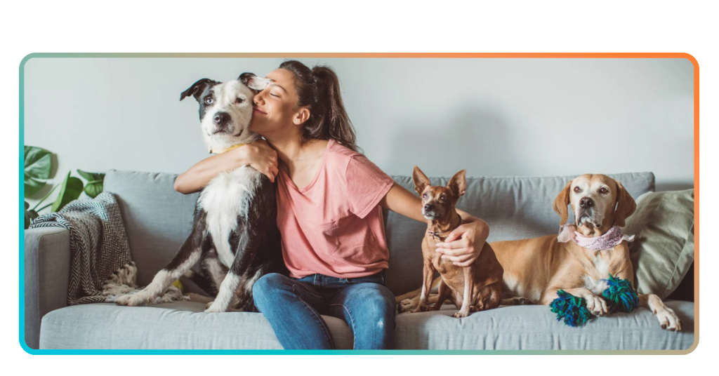 Pet sitting for travelers