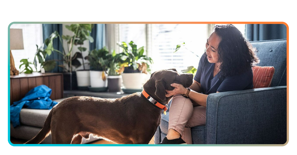 Pet sitting for travelers