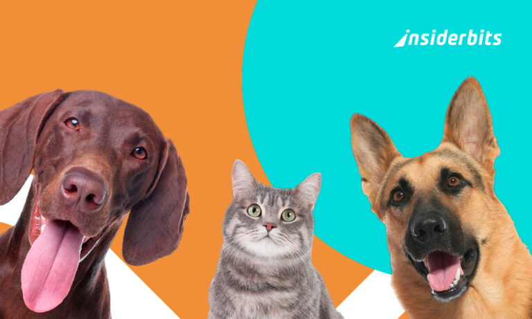 Pet sitting for travelers