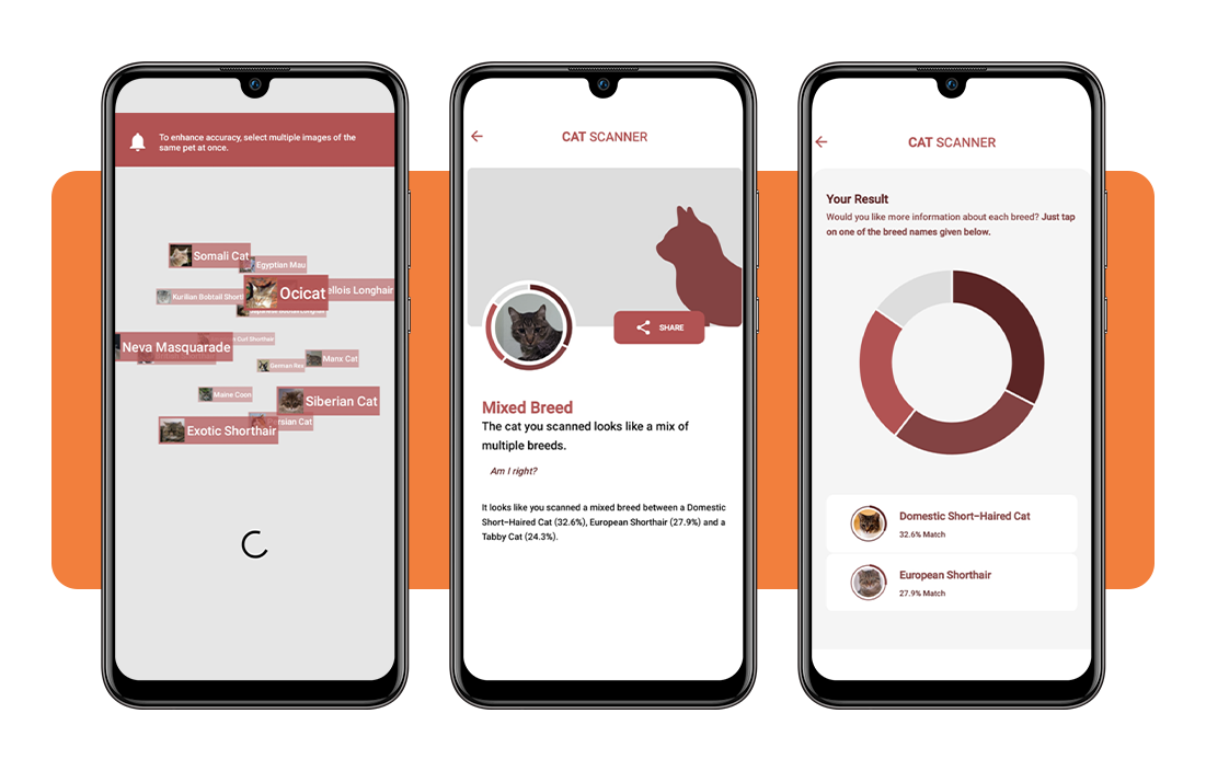 Cat breed identification app: identify your cat's breed 4 IMG 3771 03
