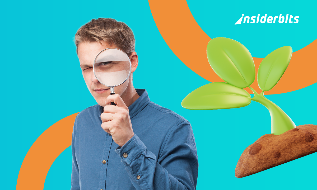 Plant identifier app: identify any plant instantly