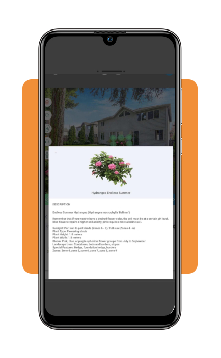 Landscaping manual: all you need to know to get started 4 IMG 7223 03